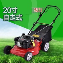 ɽ�|���S���l20�������Ͳ�ƺ�C �G���@��С������ʽ��ݙC �޲ݙC