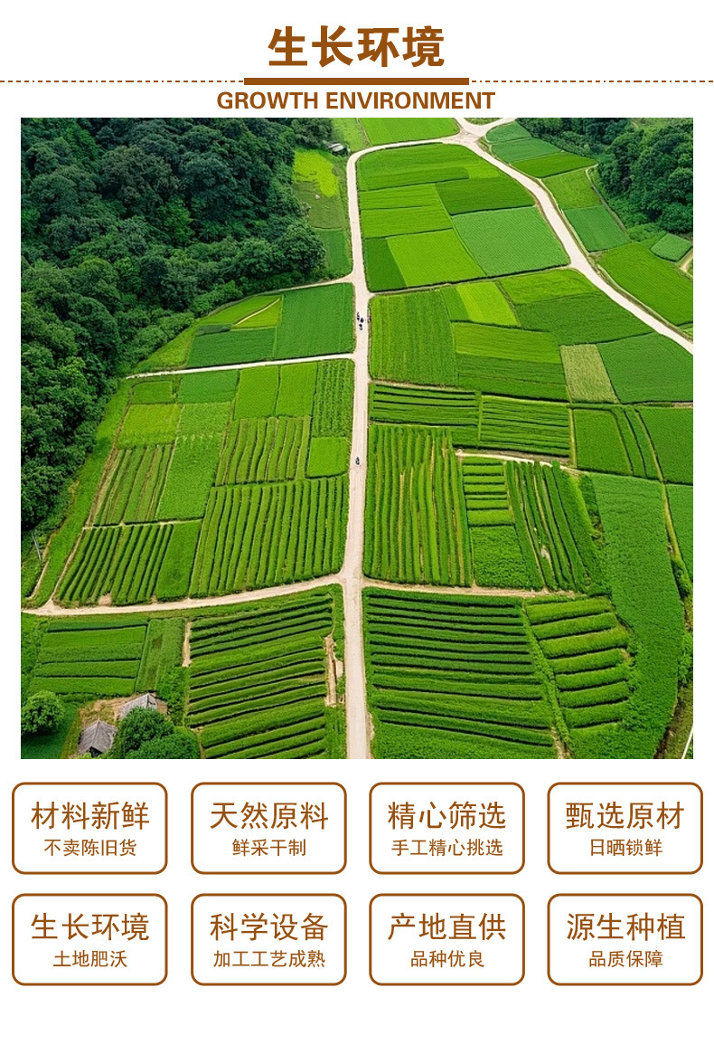 Dang Shen Slices (Codonopsis pilosula) — Gansu Sulfur-Free Dried Root for Tea & Soup quality and texture