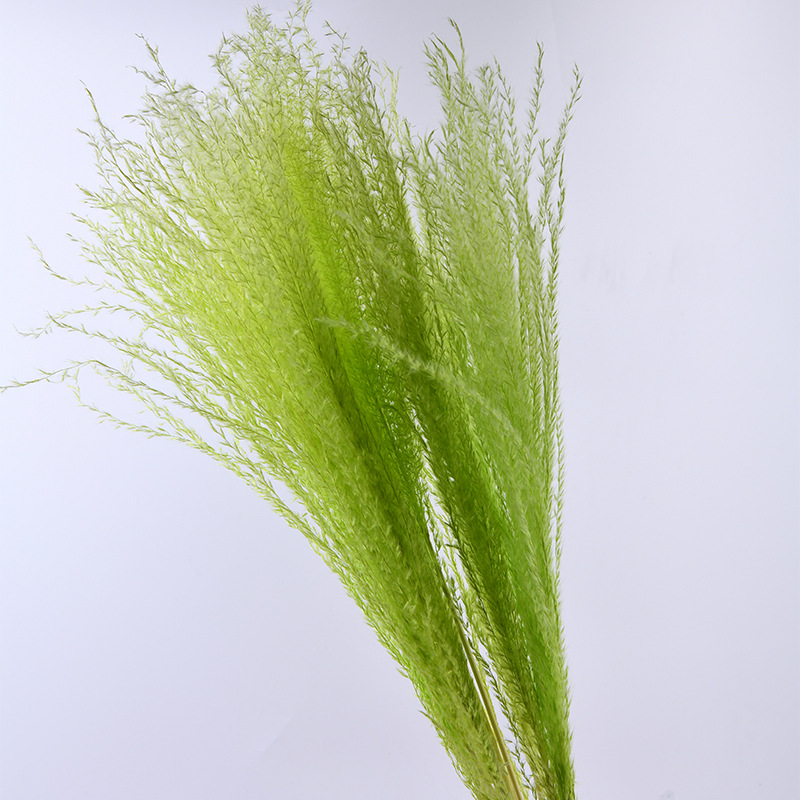 잔디 그린 (10 스틱/무리)