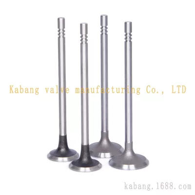 7701473354 7701471378 Suitable for Renault 1.6 K4M-76116V Engine ValVe