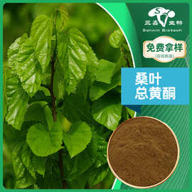 桑叶总黄酮20% 桑叶提取物19130-96-2 桑叶黄酮5%-20% 桑叶生粉