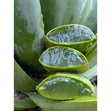 �������J�C���w�����r�~��ʳ���J�C�r�~�҃������J�C���J�C�~Ƭ