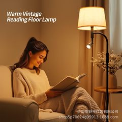 国境を越えたアメリカ家庭用フロアランプ寝室客間書斎ホテル客室新型子母頭調光フロアランプ