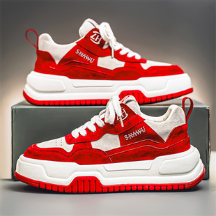 �Ї��t��Ь����2026�¿��������tЬ���п��������\�����e��Ь