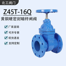 �S�~Ӳ�ܷⷨ�mʽ�l�yZ45T-16Q�T�F�l�y�_�Pˮ���U�l�y����DN100