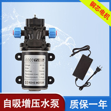 微型隔膜吸水泵农用自动浇水12v直流高压抽水120w增压泵喷雾小型.