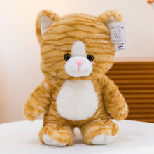 ���gϵ��С���﹫������С���ϻ�������ż��ͯ��˯����ë�q���