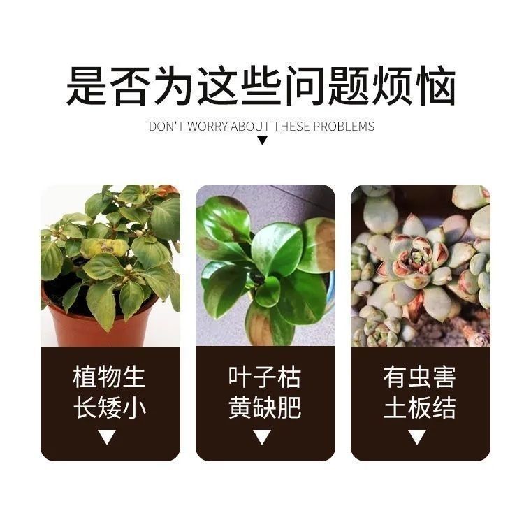 81c62d54-2900-4889-b9da-208bb03223d2.jpe