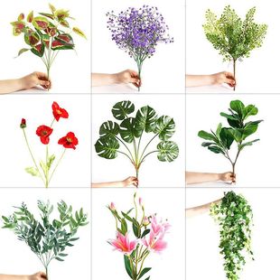 �߷��沨˹���f����廨��֦�쾰ֲ��b��~�ӷ����پGֲ��֦��