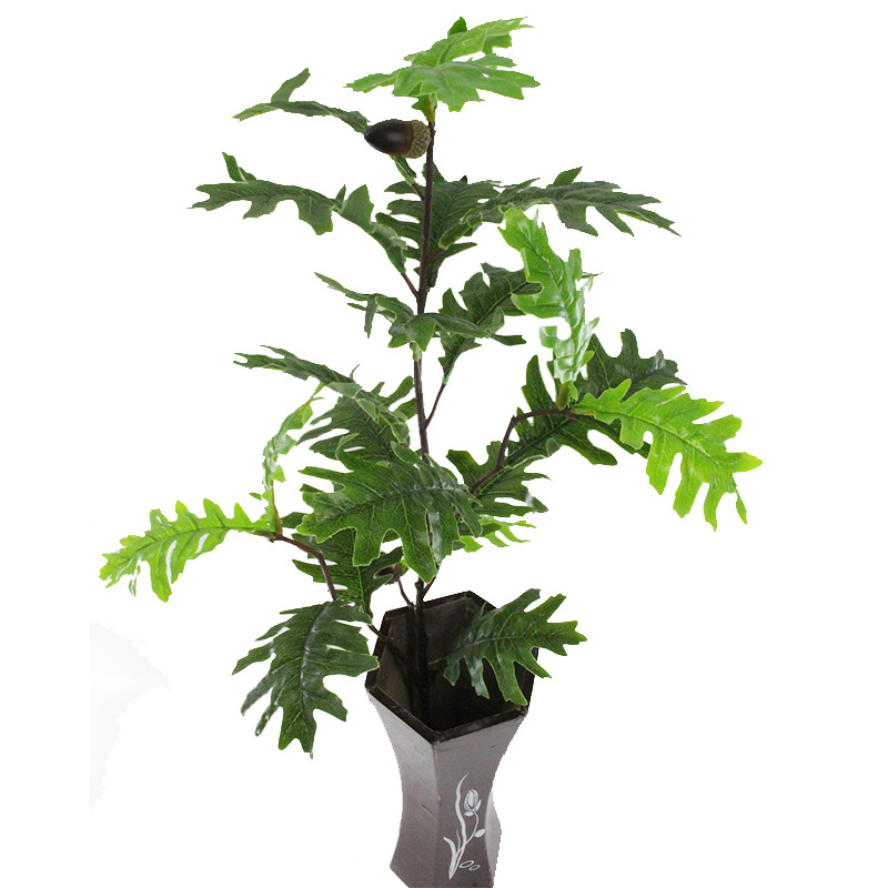 XRB-252 橡果树叶三叉0.95米  (8).jpg