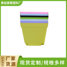 10cm�����Ӻ������ϻ��� ����P���״�ʷ� ����С�� ����