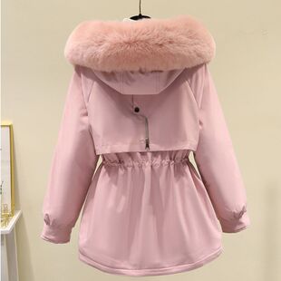 �ӽq�Ӻ��ɿ˷�Ů����2025�¿�̿�С���ӌW���n���ë�I��������