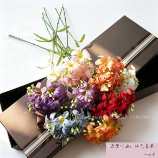 �¿ɫľ���� ��c�Y�ò����ҾӔ[�Ż�ˇ�b����쾰�b�
