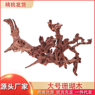 ɺ����ľ���l ˮ���^�~���쾰�b[�� ��Ȼ��� �՚��P�������