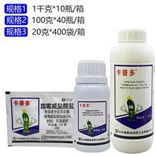 ���ն� 66.5%˪ù���}���}�����S�ϻ�Ҭ��˪ù���rș������1ǧ��