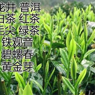 �G���N�������N���ͺ����~�N�� ����� ���N���~�N�Ӳ��N�N��
