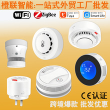 涂鸦智能天然气可燃气体泄漏检测报警家用WiFi燃气探测器传感器