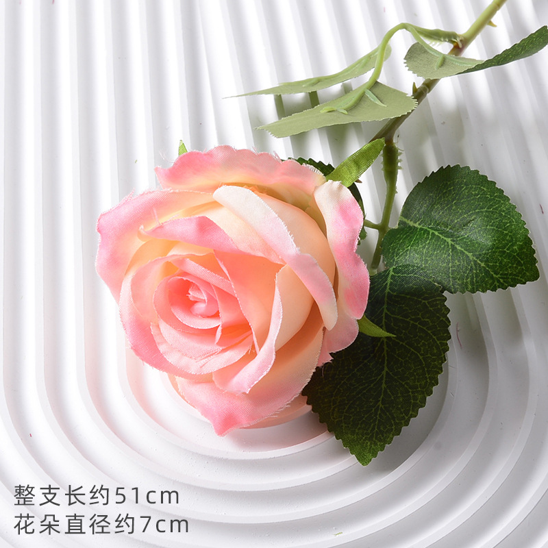 珍珠玫粉香槟（绢布版）