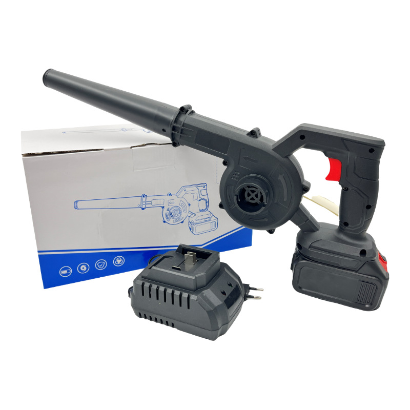 1 회 전원 및 1 회 충전 충전식 헤어 드라이어 (10 줄)