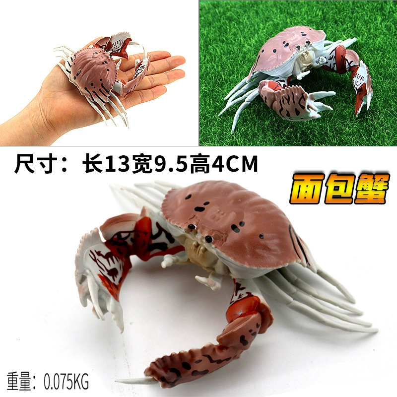 Игрушка, большие морские когнитивные украшения