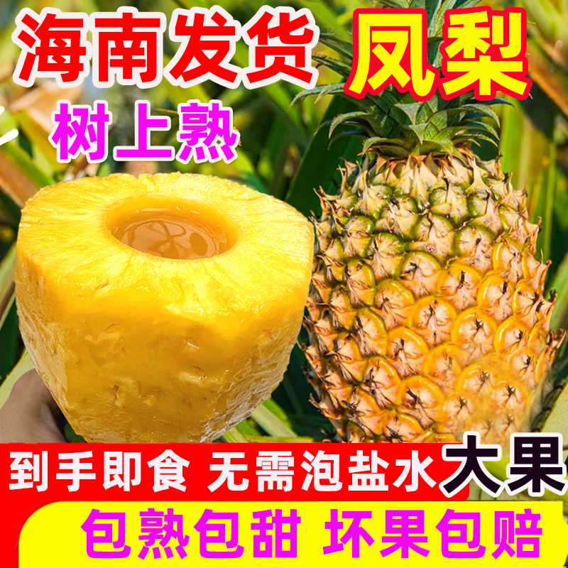 Authentic Hainan Golden Diamond Pineapple, Large Fresh Fruit Without Eyes, 4.5kg Freshly Picked Whole Box, Hand-Torn Pineapple, Direct from the Farm