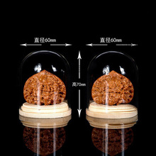 ������������Һ��J�ϙ��΢���^չʾ͸��������