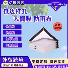 ���ư�߅�������Ĥ����Ĥ͸�����겼���ܱ��ط����o��Ĥ���ϱ�Ĥ
