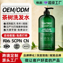 跨境定制茶树洗发水OEM加工 控油柔顺洗发露去头皮屑痒洗头膏贴牌
