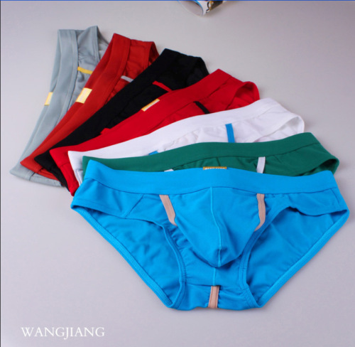 WJ/wangjiang men's underwear, bag separation and holes, sexy low-waist breathable mesh briefs wholesale
