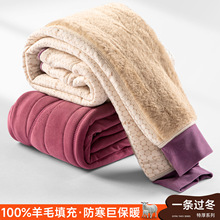 【兔毛绒护全腿】冬季女士羊毛裤加绒加厚棉裤打底保暖裤高腰秋裤