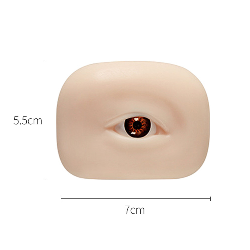 美まつげ練習シミュレーションアイモデル専用種まつげ接ぎ木まつげ練習モデルパターン刺繍5D中実眉目モジュール