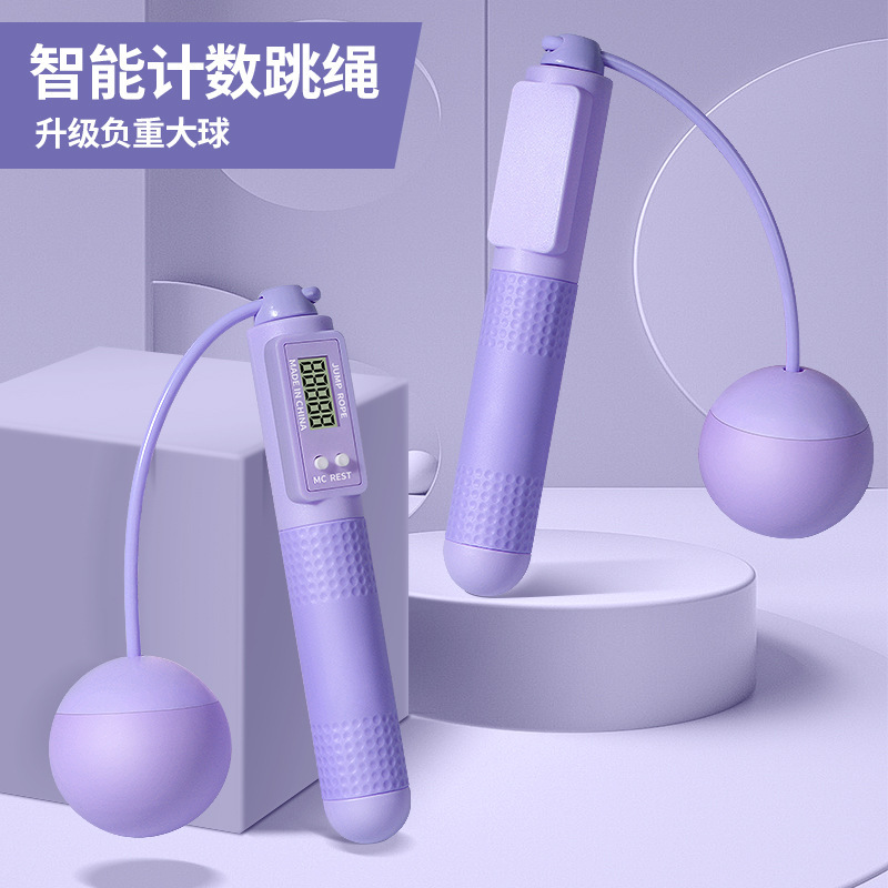 우아한 퍼플 볼 (tpr)