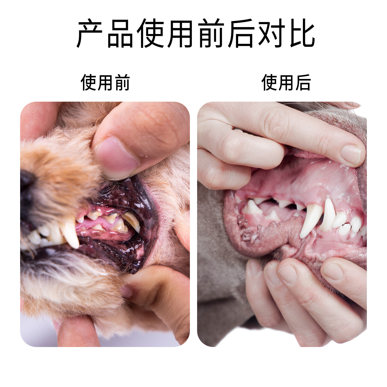 Mascotas gatos y perros para eliminar el mal aliento artefacto spray para gatos y perros spray general limpieza bucal enjuague bucal para eliminar el aliento