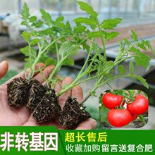 �����玧�������̨ǧ��С�������������t���������}Ů��������