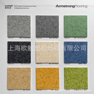 ����Armstrong��ķ˹�ш�����PVC�ذ��z�tԺ�WУ�Ҍ���ҿ�������