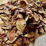 Натуральные рыбные рыбные рыбные ландшафтные кондиционирование качества воды улучшает снижение pH и кислотное падение