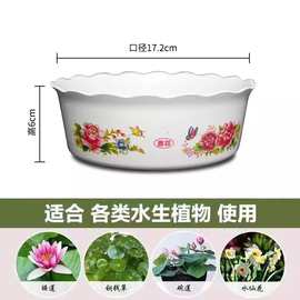 无孔水培塑料水仙花盆加厚铜钱草碗莲荷花睡莲水养植物专用小花盆