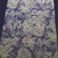 ½zcU ͮLֲﻨ~ɫỨ  SF