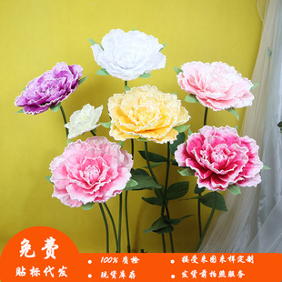 ���c�����þ��ͽq��ĵ�������b��ͻ��@�廨��c�b���ٻ�