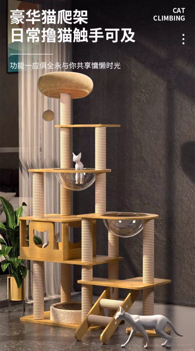 cd478b62-0d44-4c60-9030-985ae3f49b6a.jpe