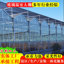 智能玻璃大棚 采光连栋连体玻璃温室大棚 展览花卉蔬菜大棚