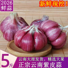 �������Ƥ�����^5���r���´������F�����r�߲�