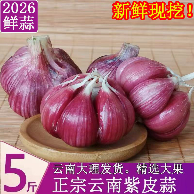 2026 Yunnan Purple Skin Garlic Bulbs 2.5kg Farm Fresh Garlic, Dried Garlic, Freshly Picked Vegetables 2026 Yunnan Purple Skin Garlic Bulbs 2.5kg Farm Fresh Garlic, Dried Garlic, Freshly Picked Vegetables