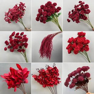 �tɫ���滨��Y���b���������õ������m�tɫ���滨����c�û�