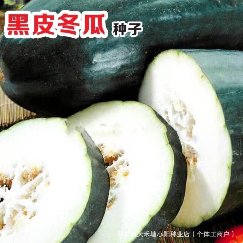 Black-Skinned Winter Melon Seeds, Extra-Large Winter Melon Seeds, Giant Hybrid Spring, Summer, and Autumn Balcony Potted Vegetable Seeds Black-Skinned Winter Melon Seeds, Extra-Large Winter Melon Seeds, Giant Hybrid Spring, Summer, and Autumn Balcony Potted Vegetable Seeds