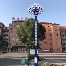 道路照明景观路灯中华灯 广场12米中华灯景观灯 八叉九火
