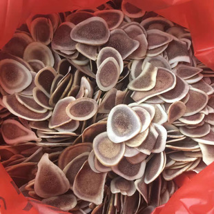 ¹��Ƭ��ș�Ė|�������Bֳ÷��¹��Ƭ¹�׹�Ƭ�ݾ����ݲ��������a