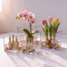 ���sˮ�໨ƿ͸������������ˮ�B�����m������ˮ������͏dС����