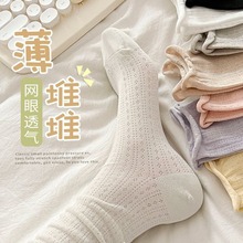 �Ѷ��mŮ���ޱ��m�ӾW�ۻ�߅�U��͸�����켃ɫ��Ͳins�������ٴ�