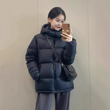 ��ɫ�̿���H���޷�Ů2025�����¿�Ӻ��������ů�Bñ�q����